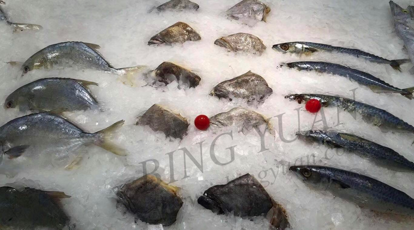 80KW Fishing Boat Ice Maker