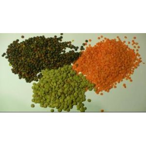 Multi Grain Color Sorter Machine Lentils Optical Color Sorting Machine for