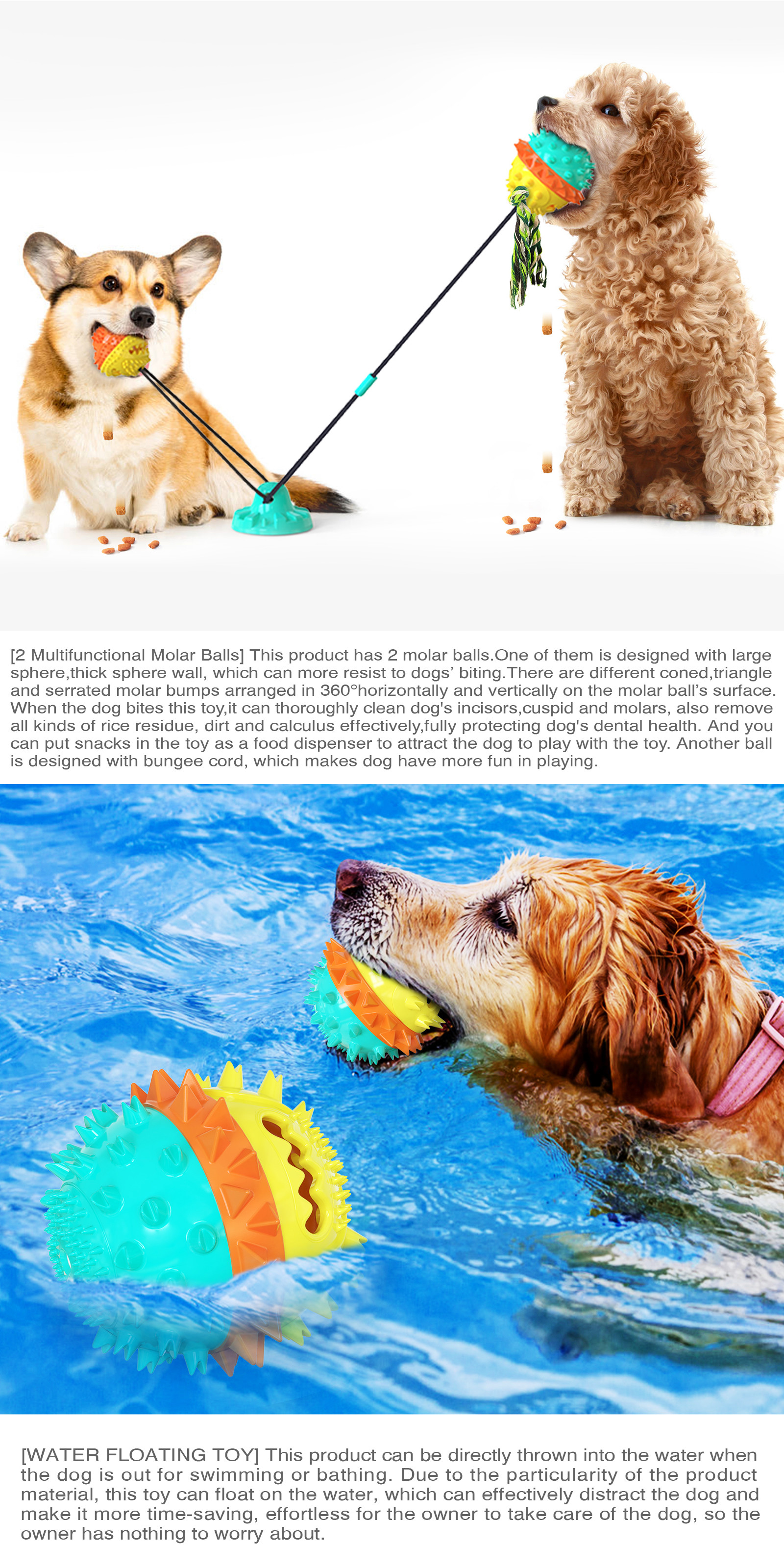 Molar Dog Chew Toy Teeth Cleaner TPR Sucker Draw Rope Ball