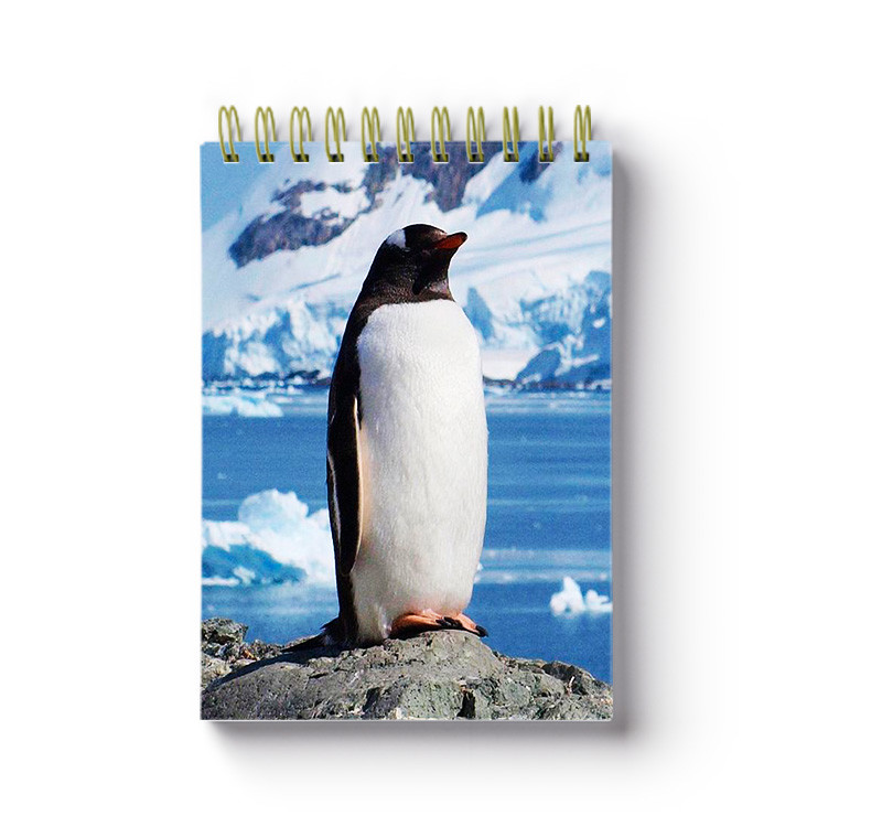 Sea Animal Image Custom Printed Spiral Notebooks 3D Cover High Definition