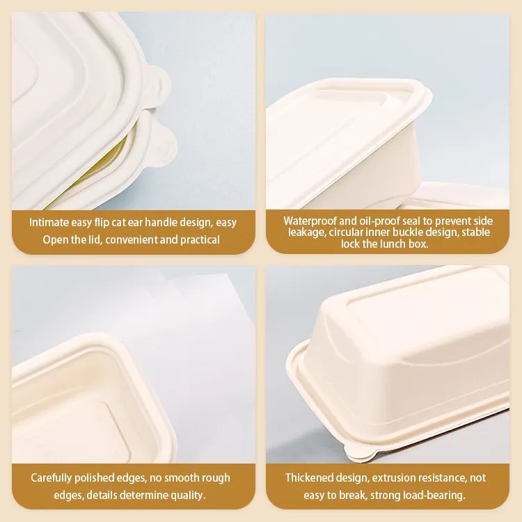 Eco friendly Biodegradable Beige Color Corn Starch Disposable Takeaway Fast Food Container With lid