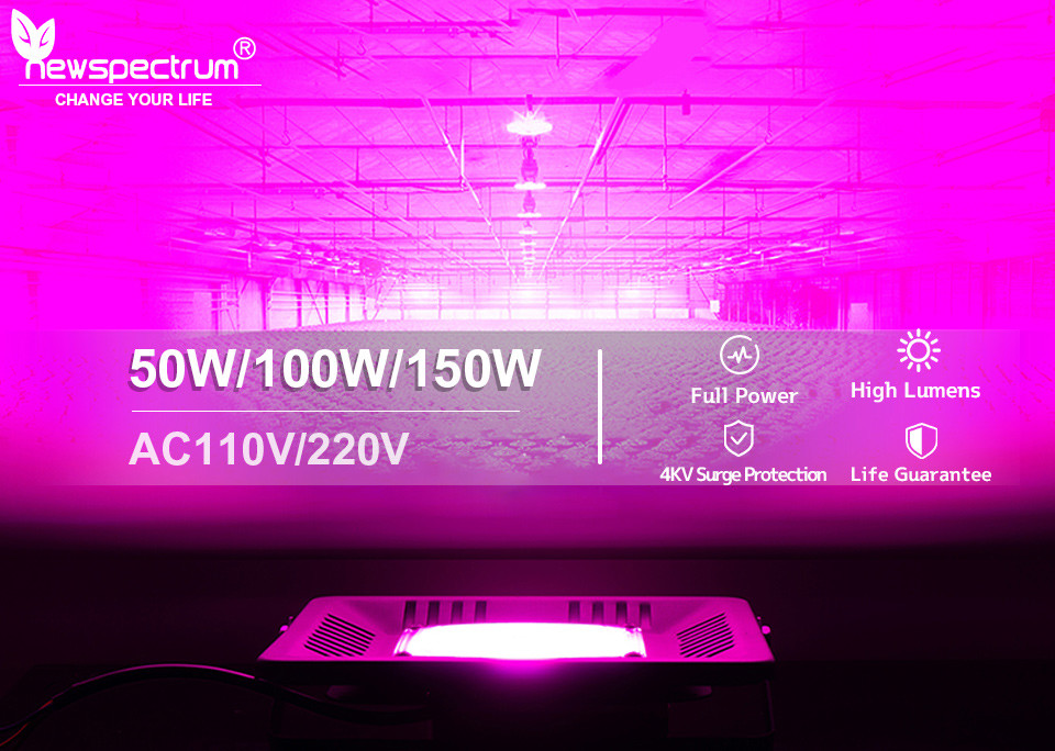 Phytolamp Light Bar Module 50W IP65 Plant Grow Light Voltage 240V