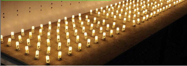 12V G4 LED Light SMD3014