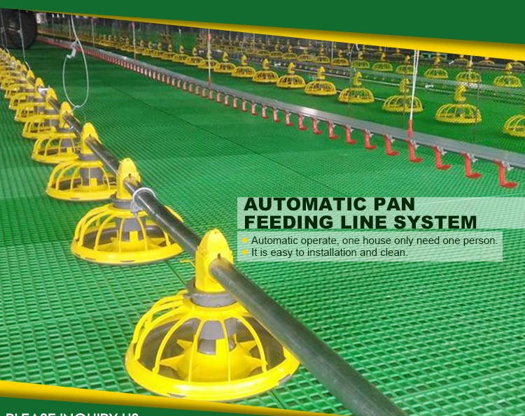 Poultry Farm Equipment Chicken House Animal Feeder Galvanized Automatic Chicken Feeder