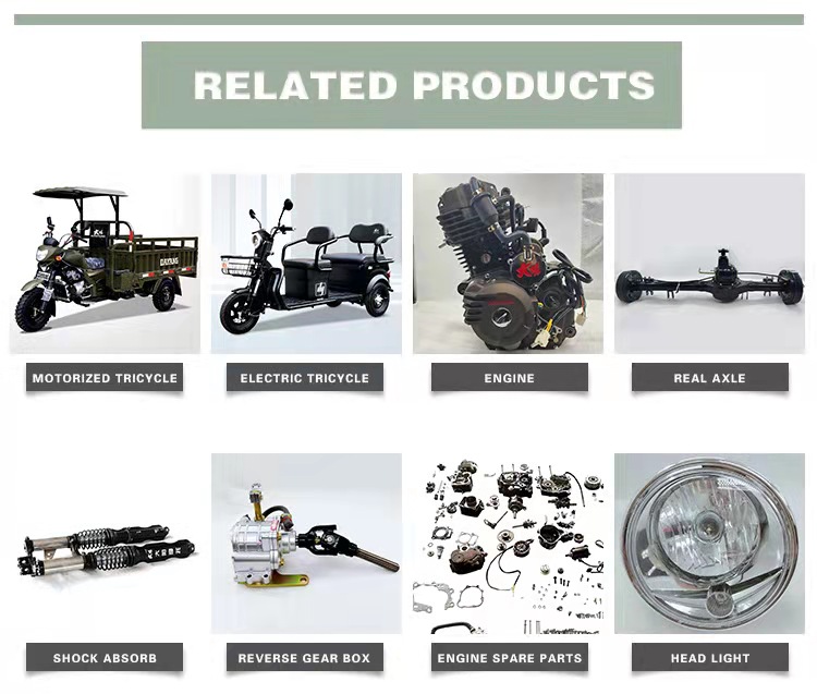 Powerful 200cc Water Cooling Engine Enclosed Cabin Motorcycle Tricycle for Adults