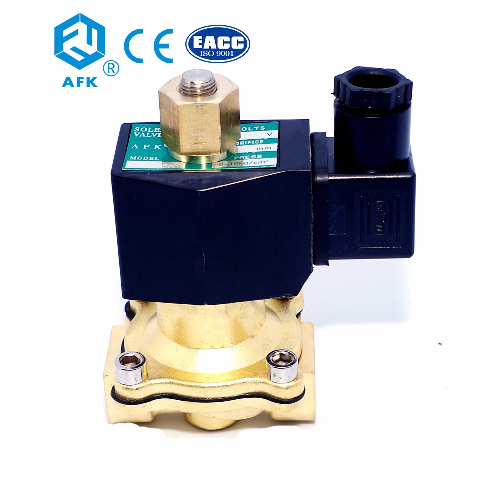 Low Voltage Brass Electric 12V DC Gas Solenoid Valve 1/2 inch