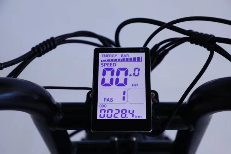 Dual 48V 15Ah Battery Electric Fat Tire Bike / Full Suspension Fat Tire Ebike For Adults