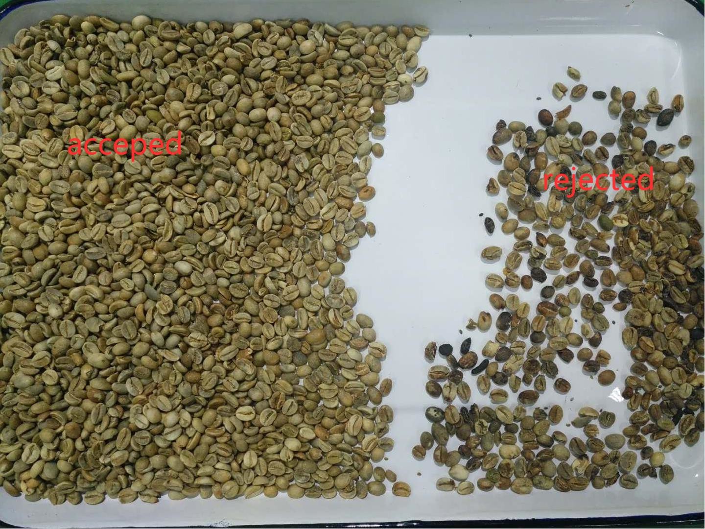 High Accuracy Multifunction Color Sorting Machine For Grain Coffee Cocoa Bean Wheat
