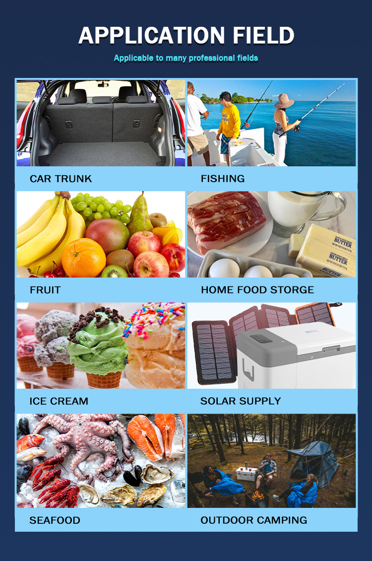 Car 25L 12V/24V Deep Cold Storage Portable Refrigerator -45C Ultra Low Temperature