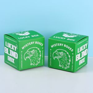 Printing Factory Custom Packaging Set Surprise Blind Box Collection Custom Logo