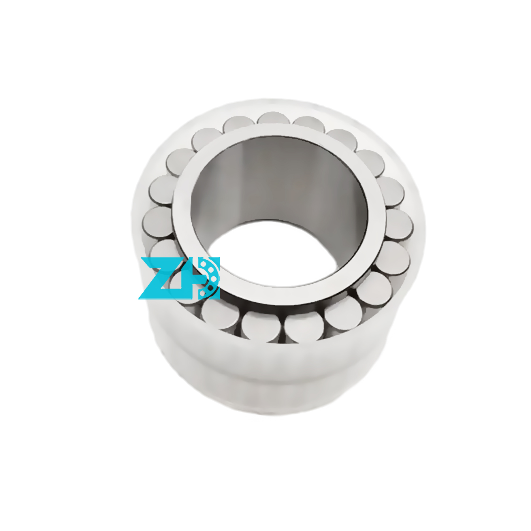 F-229575 Cylindrical Roller Bearings F-229575.1 F-229575.1.RNN F-229575.01.RNN