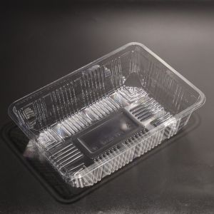  FDA Certified Rectangular Plastic PET Food Tray Plate With Customized Shape Manufactures