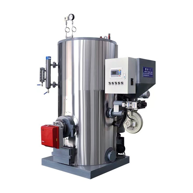 Steam generator biomass hand burning small footprint and high efficiency