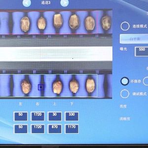 AI-Powered Sizing 2.0 Tons Per Hour 8-Lane Palm Dates Sorting Machine