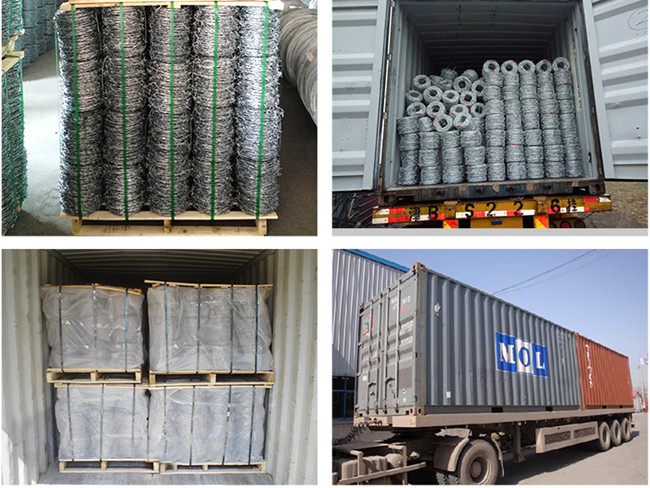 Q195 3 Points Galvanized Barbed Wire 12x12 Anti Climb Against Oxidation