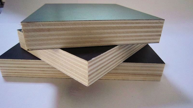 poplar plywood