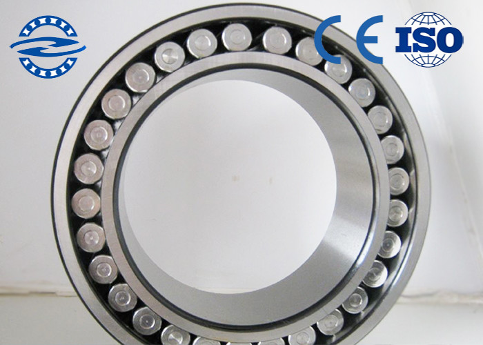 SL Series 30x55x34 Full Complement Cylindrical Roller Bearing SL045006-PP