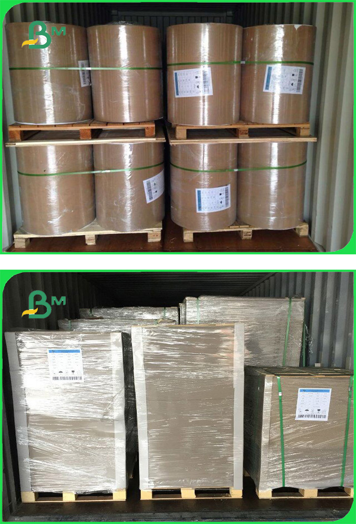 300gsm Ivory Board + 15g PE Coated With FSC And FDA For Making Lunch Box