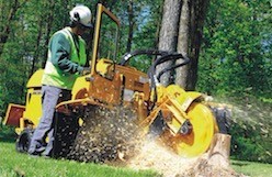 stump cutter