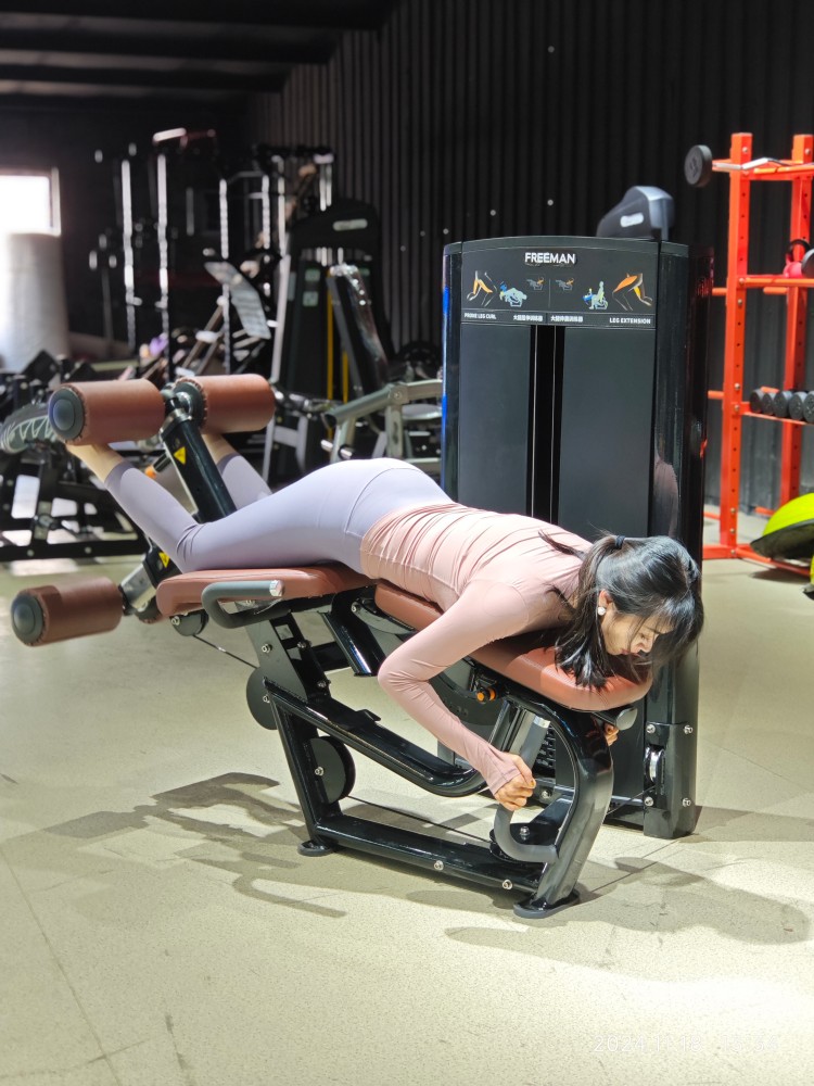 Leg Extension Leg Curl Indoor Commercial Pin Loaded Gym Equipment
