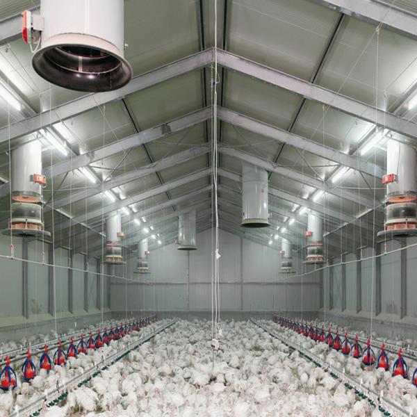 Quality Fireproof Steel Poultry House with Automated Ventilation System for sale