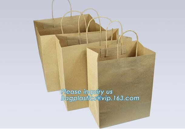 Flower carrier bag with different color customized pot plants kraft paper bag with handle,stamping logo fancy paper flow