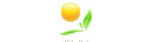 China HOOLYSHINE Production Co.,LTD logo