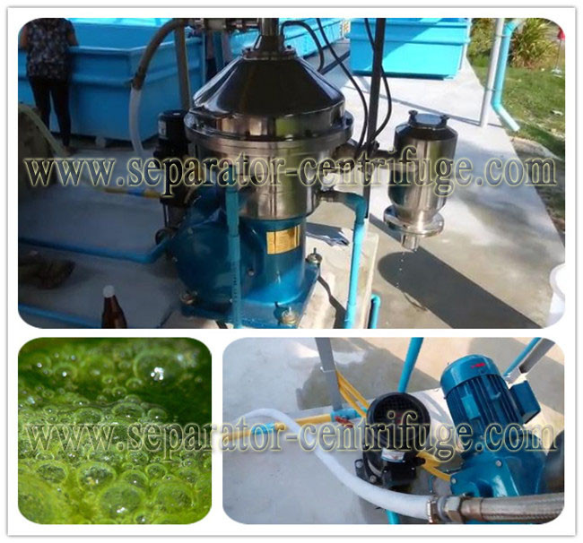 High Efficiency Disc Stack Centrifuges , Automatic Algae Dewatering Separator
