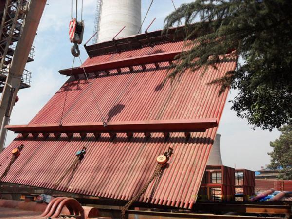 Condensing Gas Boiler Water Walls For Petrochemical Biomass Diesel Boiler