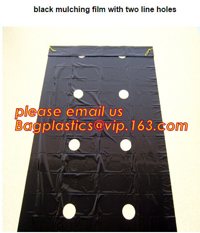 Multi-Span Plastic Film Cover Natural Ventilation Vegetable Greenhouse,Greenhouse Kits Plastic Greenhouse 200 micron gre