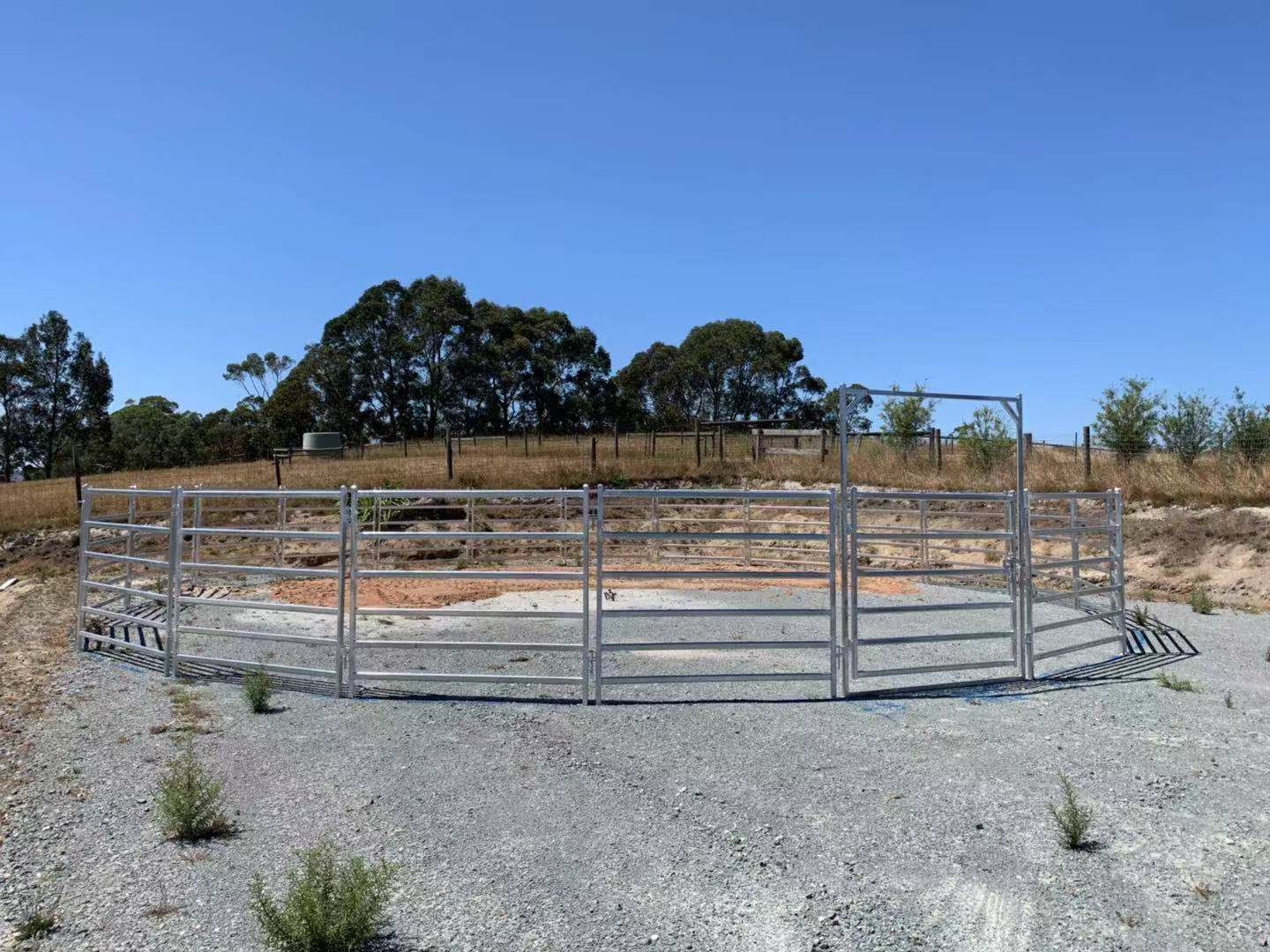Australia Standard 6 Rails Oval Pipe 1.8m×2.1m Steel Cattle Yard Panels
