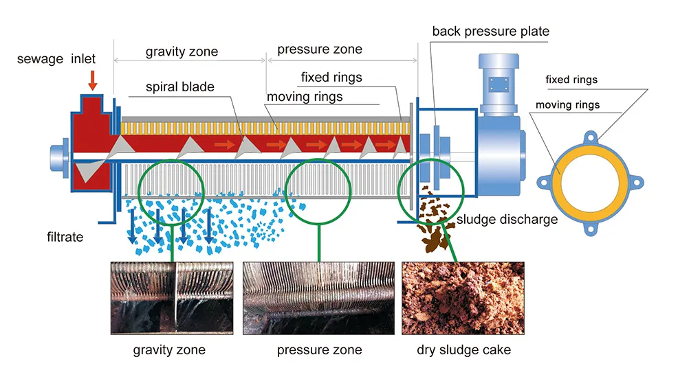 Stainless Steel Automatic Dewatering Screw Press Machine Multi Disc Screw Press Dehydrator