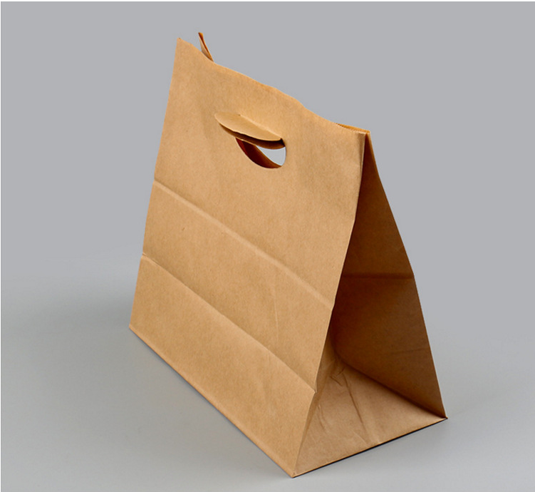Recyclable Kraft Paper Bags With Handles Offset Printing Simple Design