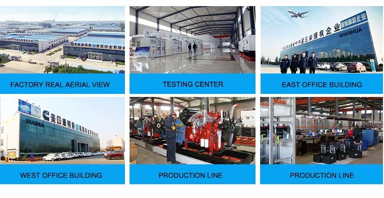 400V 230V Open Type Generator Multifunctional 200Kva With ATS