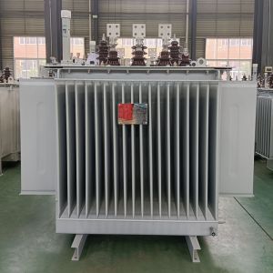  33kv/35kv Three-phase oil-immersed type fully sealed power transformer 30KW-2500KW Manufactures