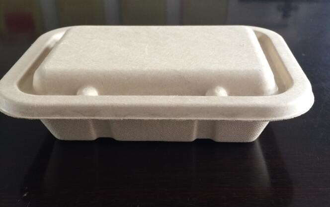 Meal Prep Containers Free Sample Bento Lunch Box Biodegradable Food Container Plastic Wheat Straw Lunch Box bagplastics