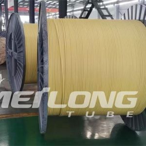 TP316L PVDF Encapsulated Control Line Flatpack With Two Tubes High Pressure