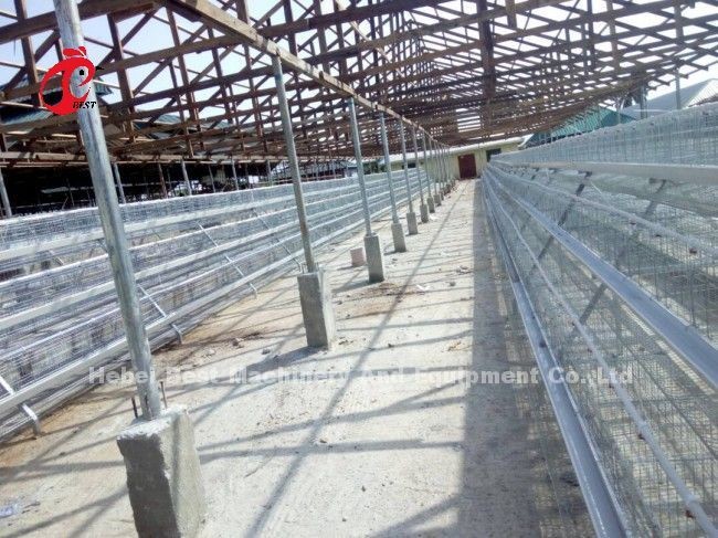 A Or H Type 3 Or 4 Tier Chicken Battery Cage For Poultry Chicken Farm Doris