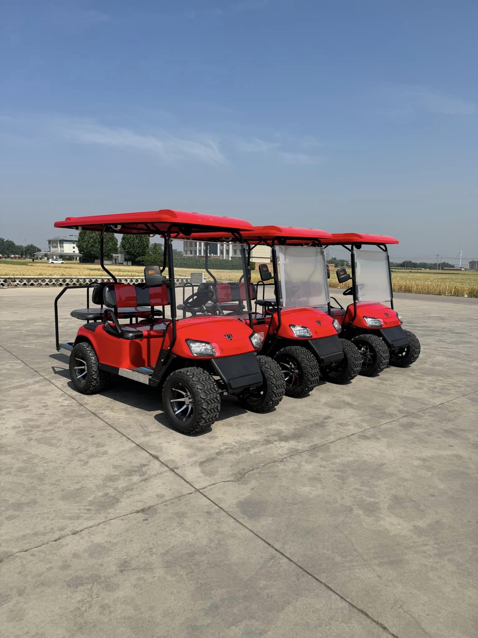 4 Wheel 2+2 Seater 19 mph Lithium Ion Battery 4 Seater Golf Cart Support OEM