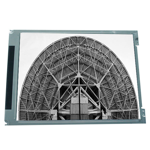 LM100SS1T522 10.0 inch 800*600 31 pins CCFL CSTN LCD Module Display Manufactures