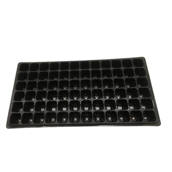 72 Cells Nursery Tray Plastic Seedling Tray Mango Plant Strawberry Seedling