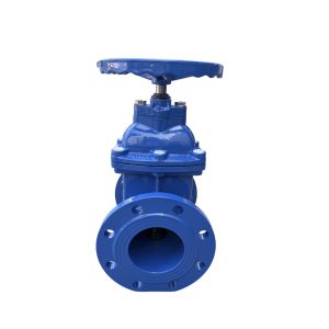 Cast Iron Nrs Resilient Seat Wedge Gate Valve