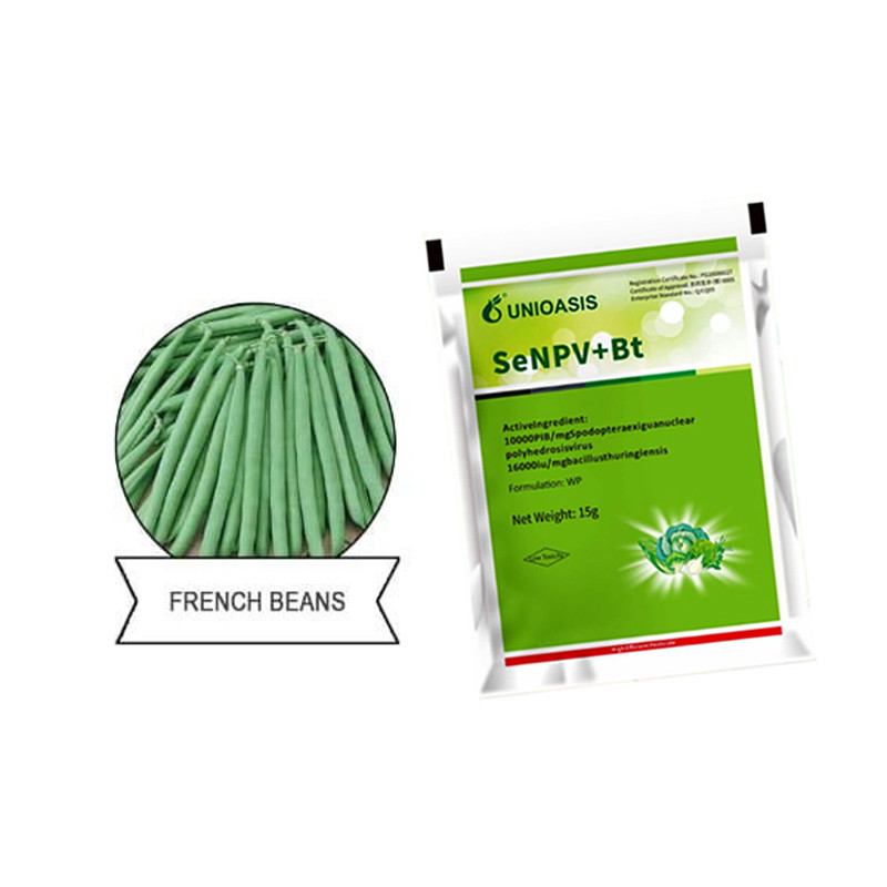 Brassicaceous Vegetable Kale Broccoli Cabbage Organic Pesticide 0.01billion/Ml SeNPV Without Residue
