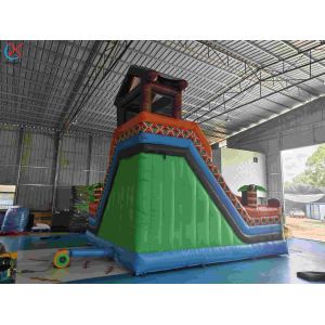 Inflatble Exotic Bouncy House With Internal Slide Combo Jumping Castle