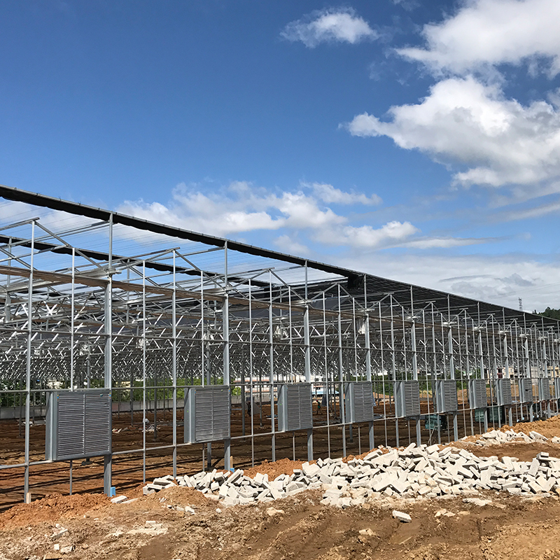 Large Size Transparent Glass Greenhouse Super Strong Resistance and Hydroponics System