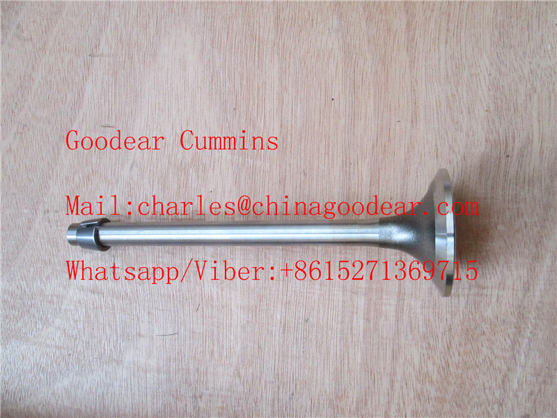 Chongqing k38/k50 diesel engine intake valve 2881836