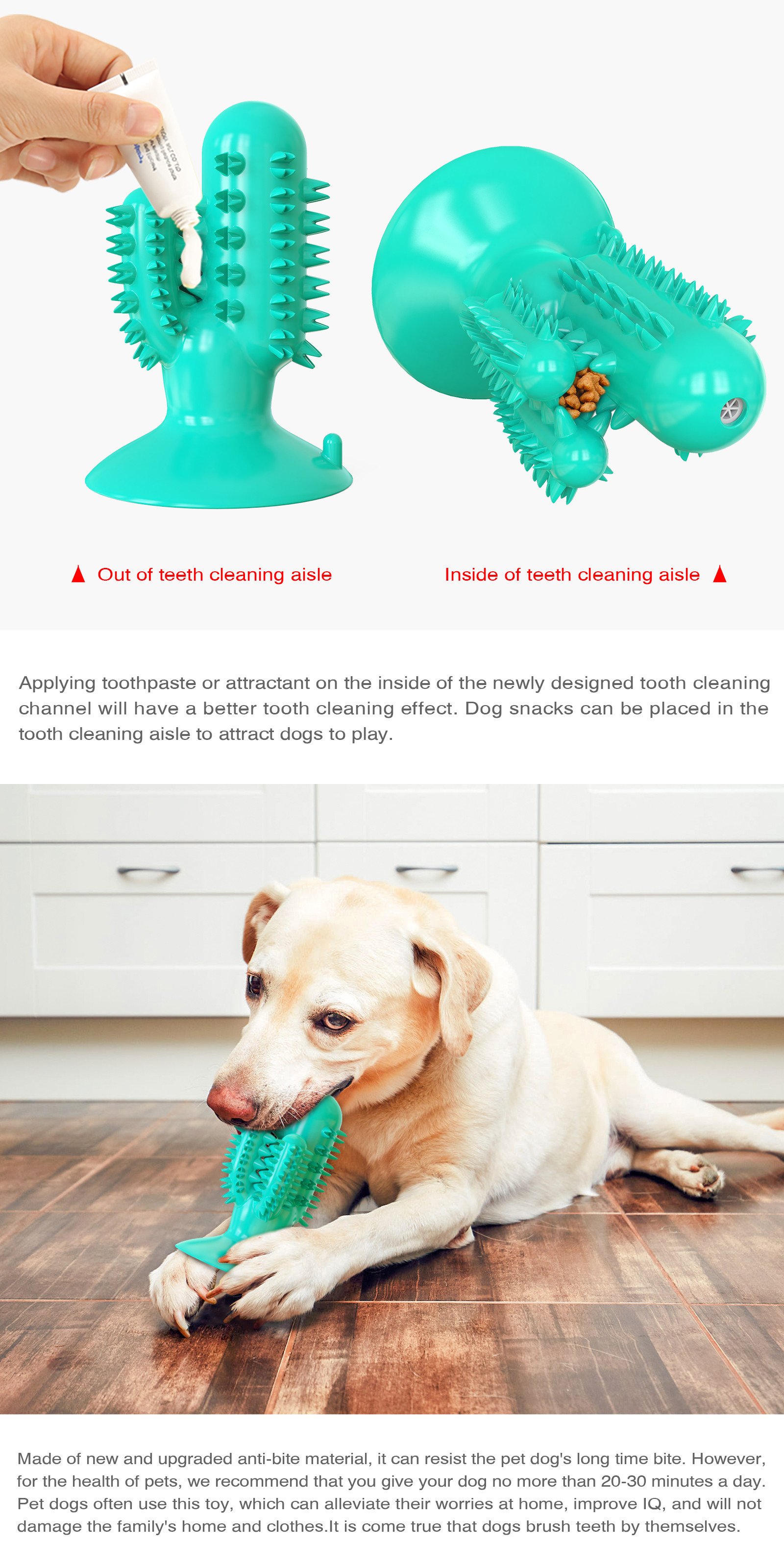 TPR Interactive Pet Toys Toothbrush Molar Puppy Teeth Cleaning Toy 125g ODM