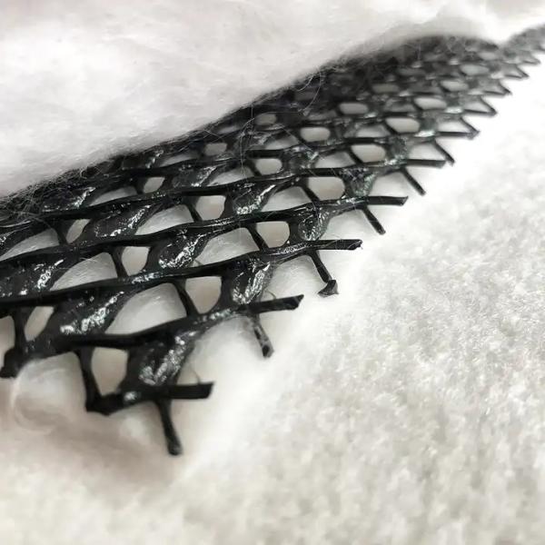 Drainage Engineering Design Style Geocomposite Drainage Mat for Drainage