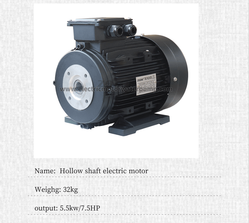 hollow shaft electric motor