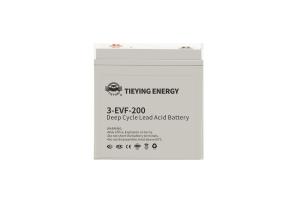  12V 200Ah Storage Lead Acid Golf Cart Batteries 3-EVF-220 33+-0.5kg Manufactures